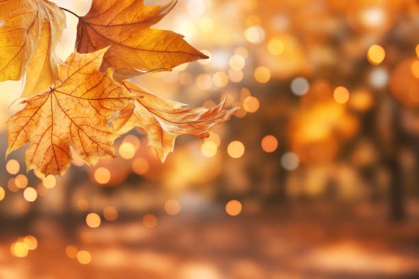 Ogni settembre è una nuova pagina&nbsp;🍂✨